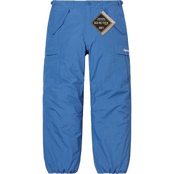 Pantalones Supreme GORE-TEX PACLITE® Cargo Pant Azules | CL411OR